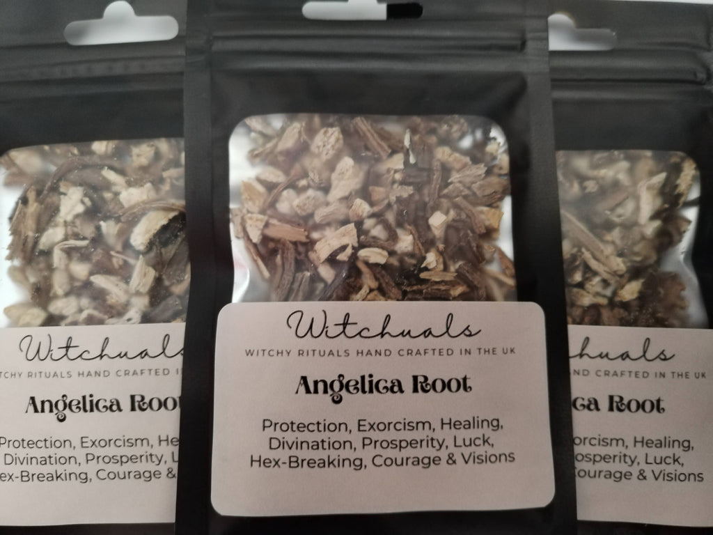 Angelica Root