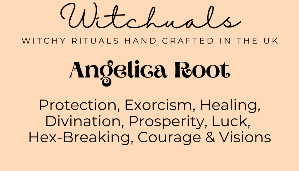 Angelica Root