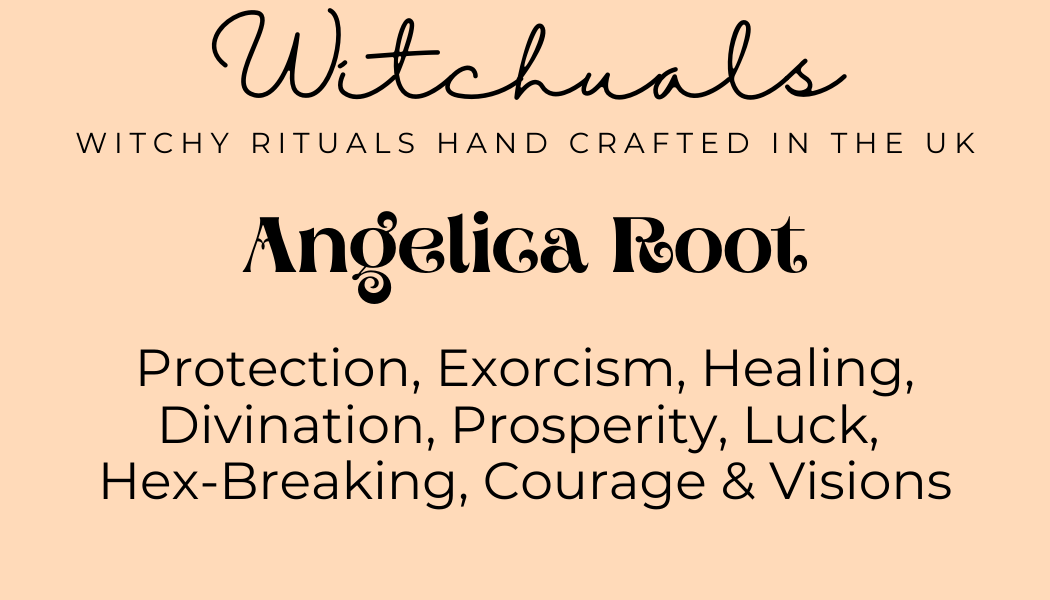 Angelica Root