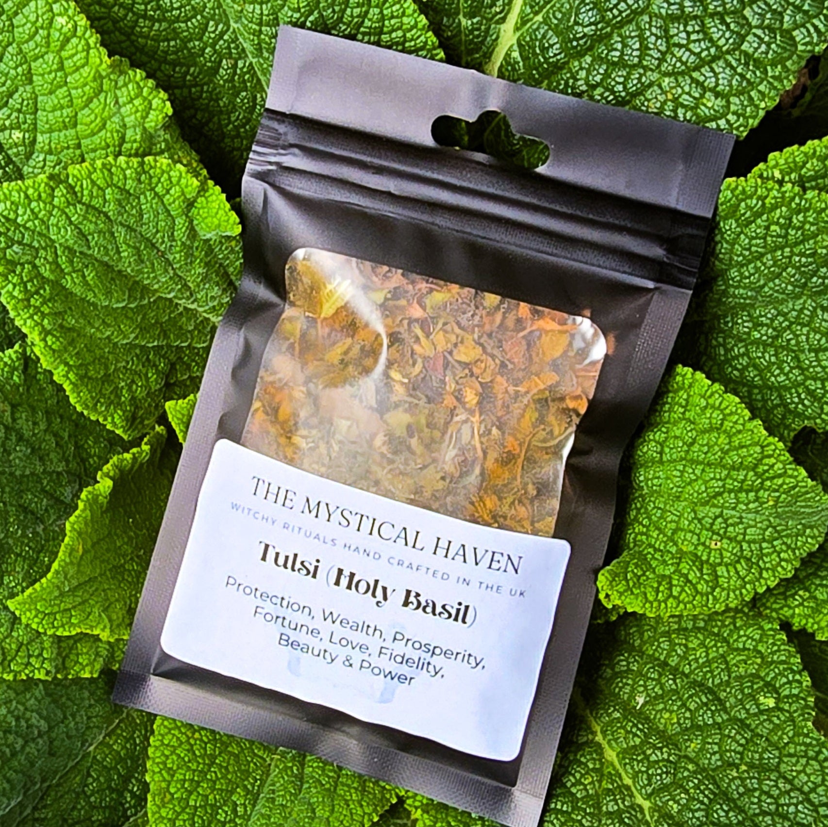 Tulsi (Holy Basil)