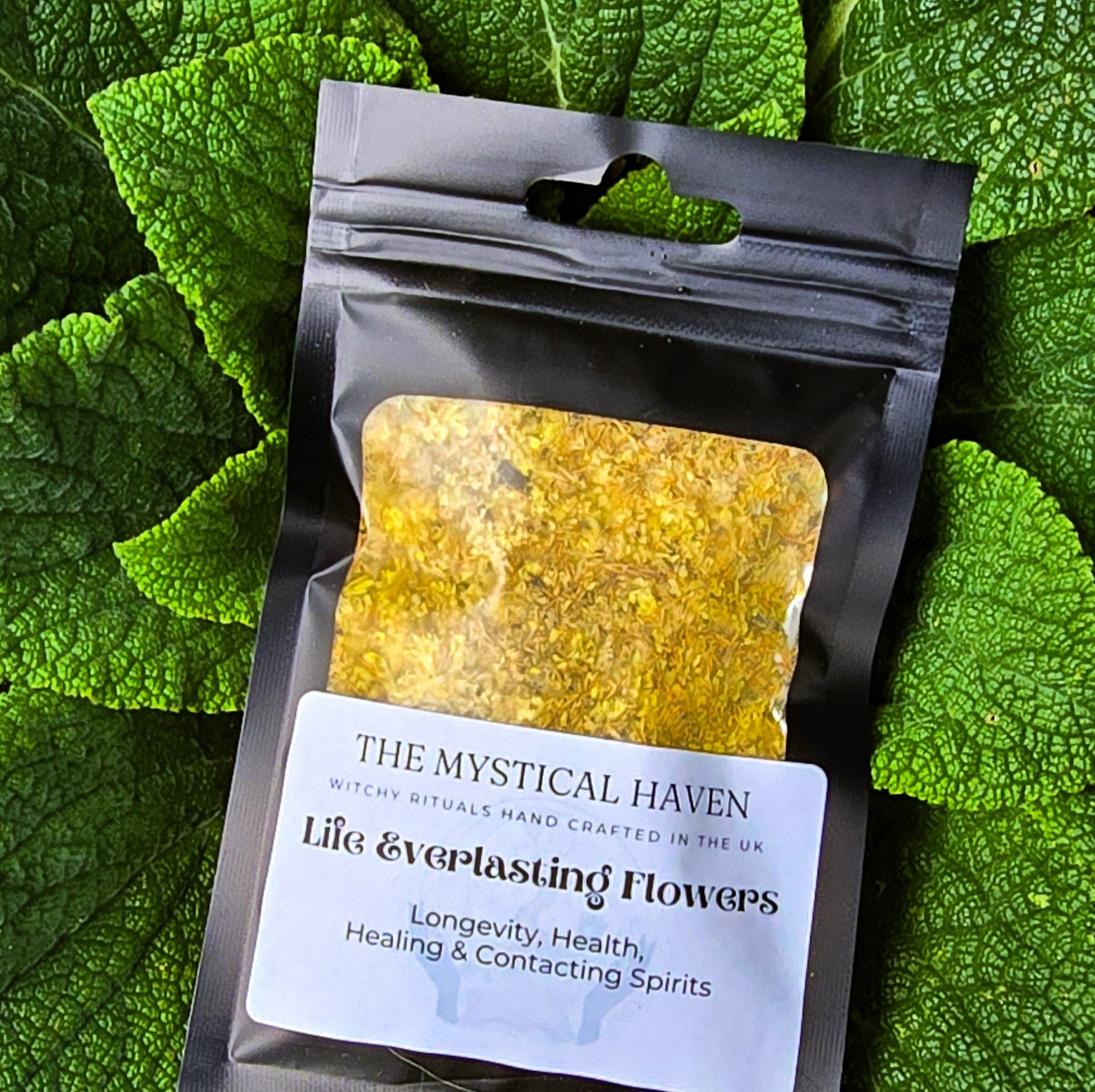 Life Everlasting Flowers