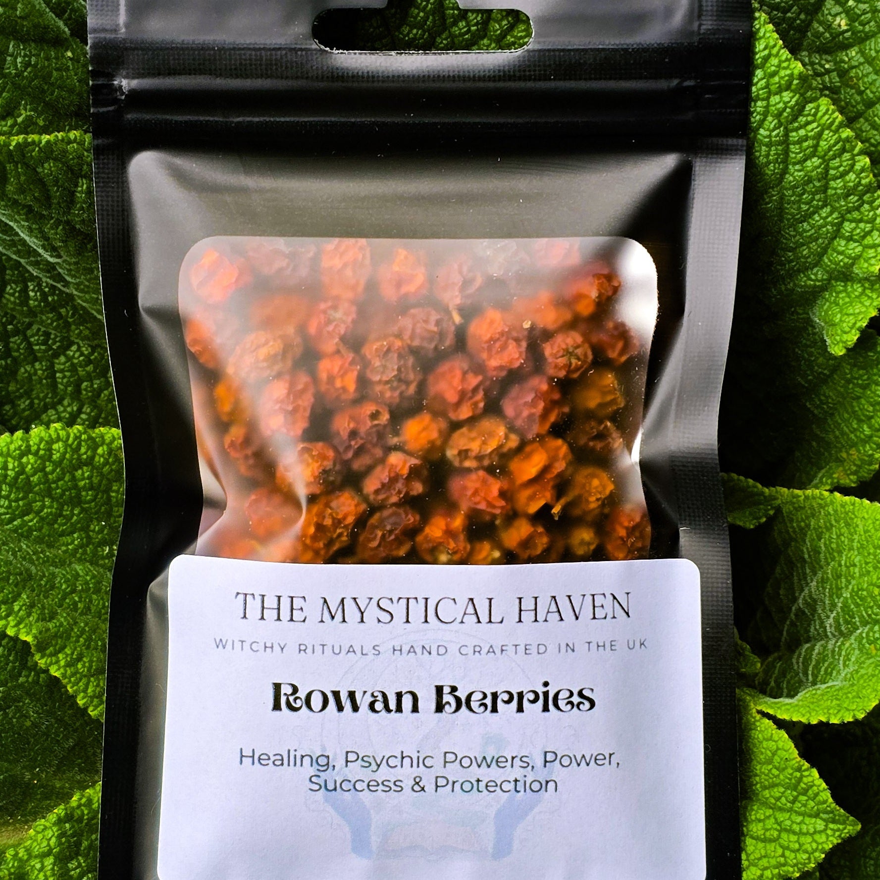 Rowan Berries