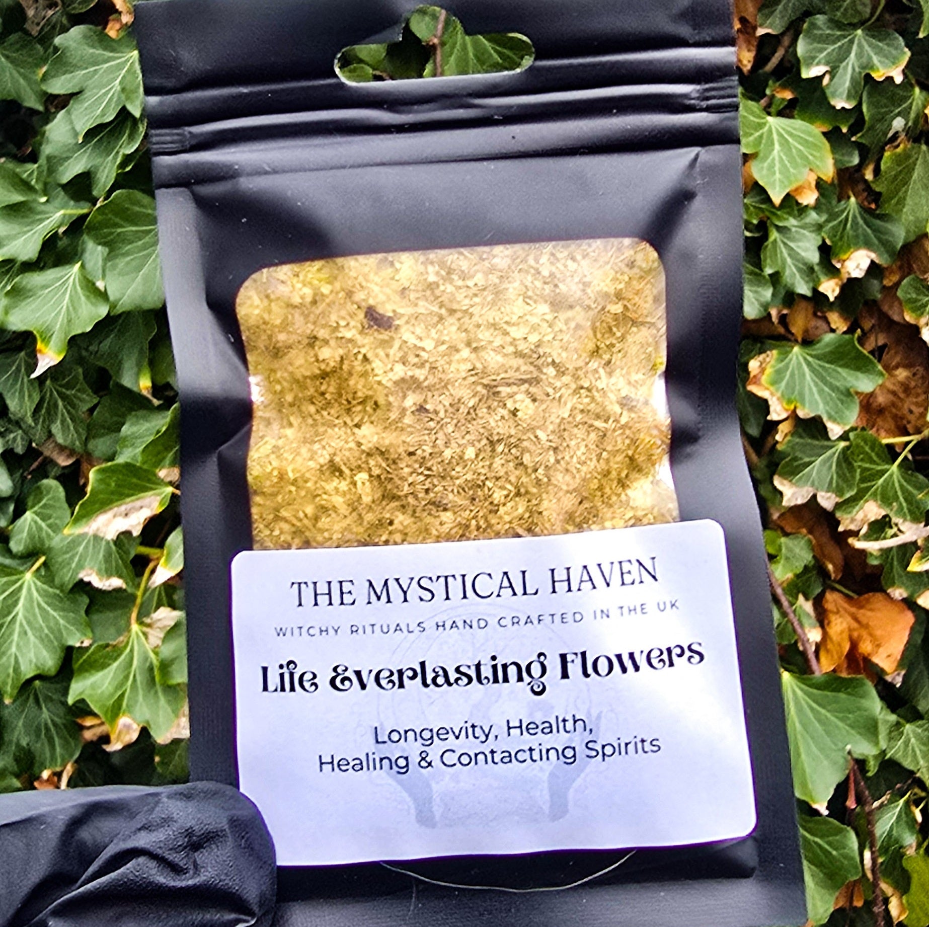 Life Everlasting Flowers