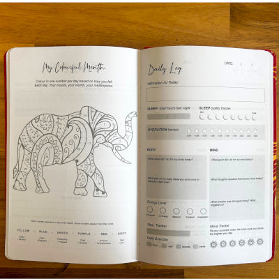 Manifestation Wellness Journal