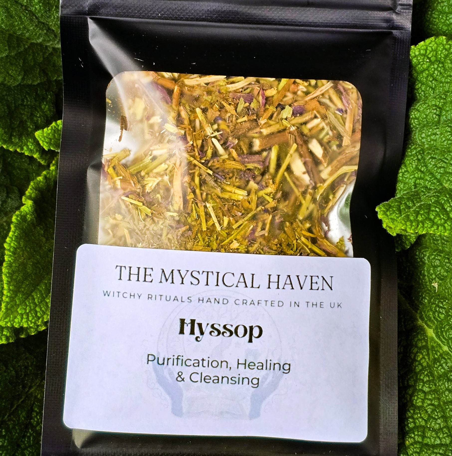 Hyssop